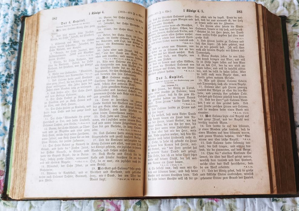 Biblia in limba germana, Stuttgart 1891, traducere de Martin Luther