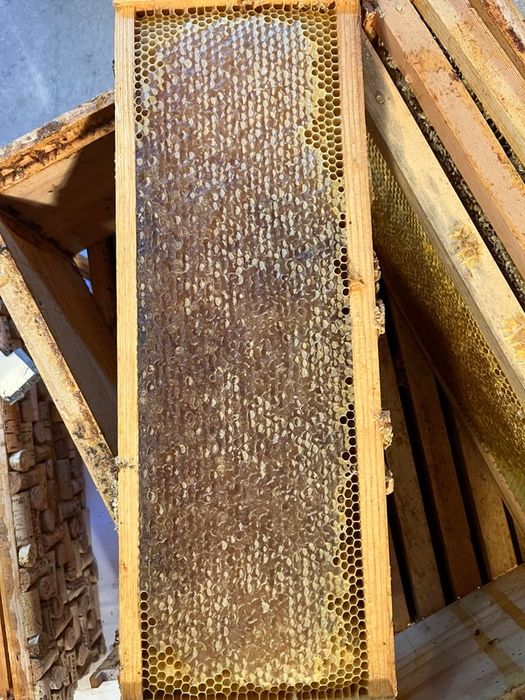 Miere 100% naturala cruda