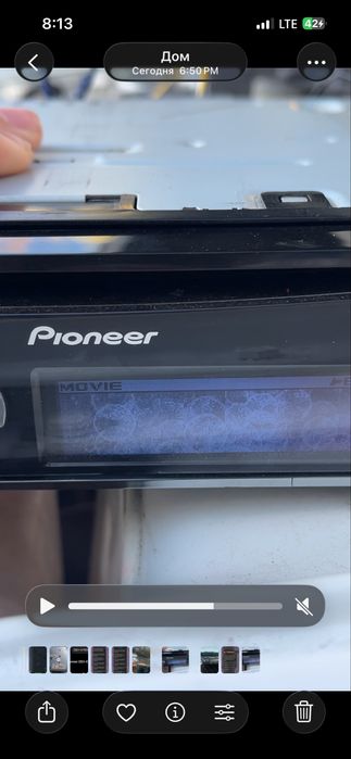 Пионер дельфин срочно