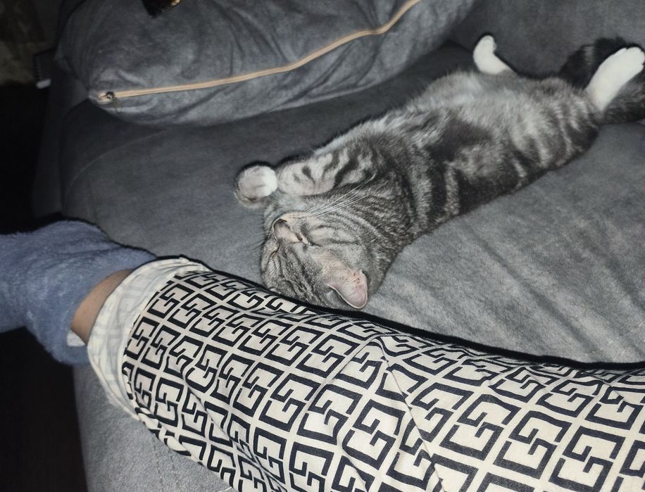 Отдам в хорошие руки