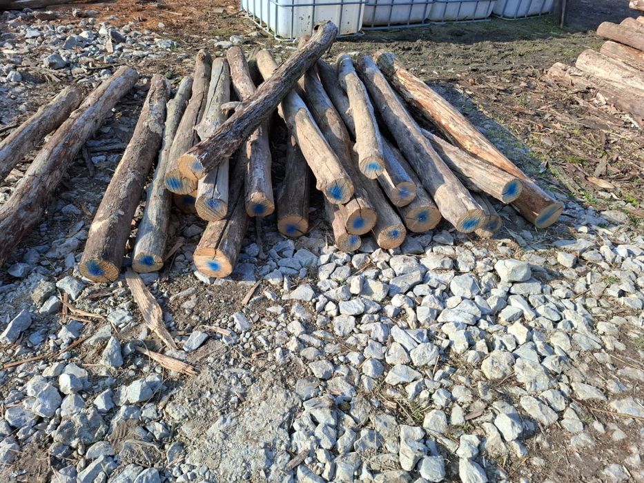 Vând stalpi /gard salcâm/castan