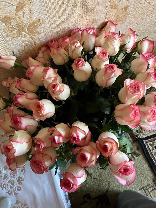 Голансские  розы