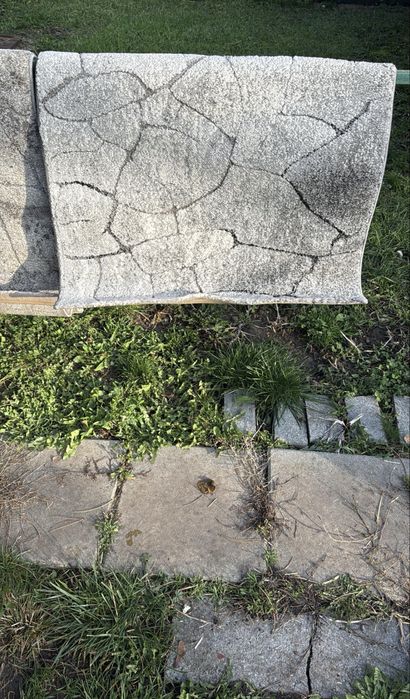 Covoare  ieftine la 500 lei toate