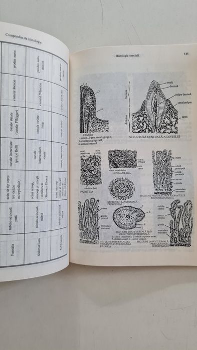 Compendiu de histologie Ion Gherman 1993