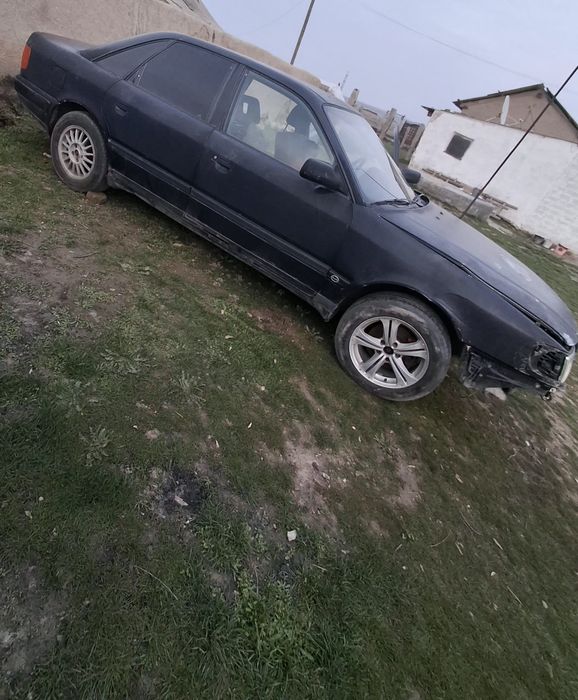 Жағдаиы орта жүмысы бар