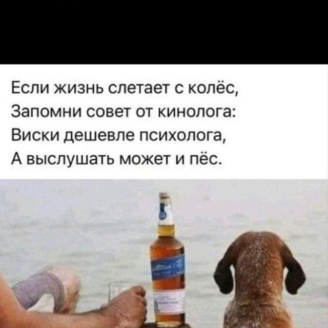 Профессиональная дрессировка собак и передержка