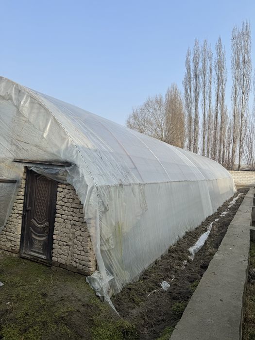 Тёплица асакада сотилади