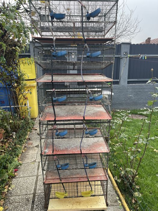 Cuști pentru prepelite