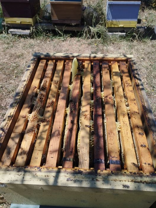 Пчелен Мед Букет на Едро