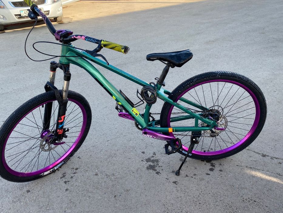 Велосипед IIEREC L-5