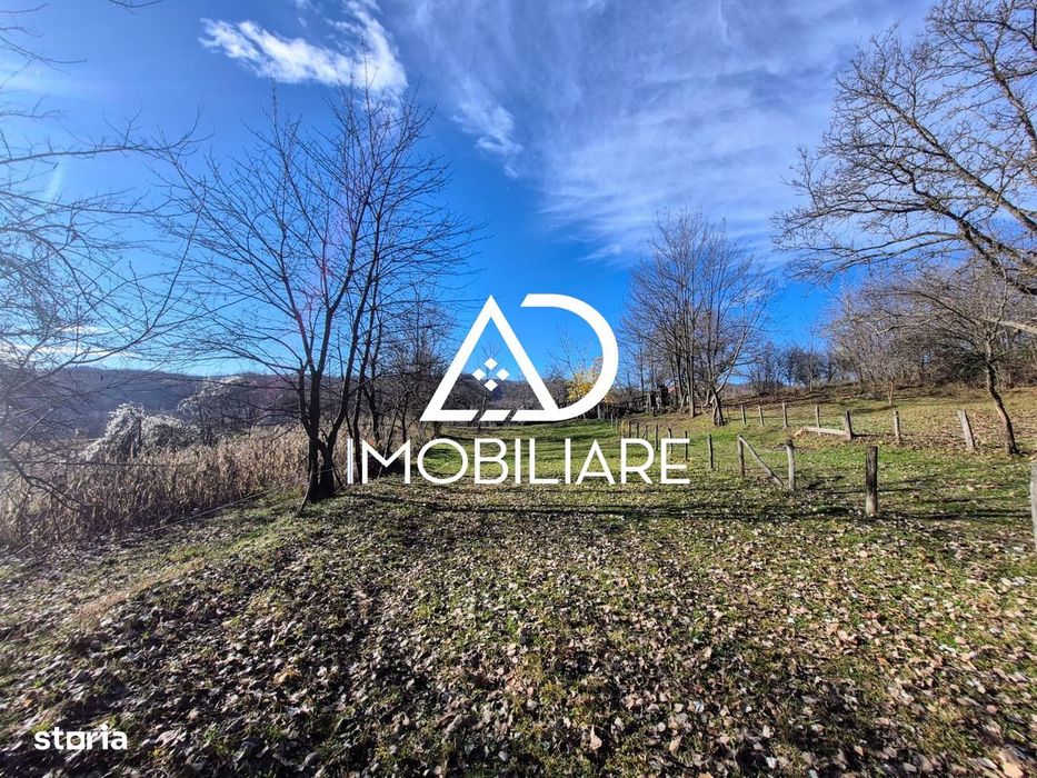 Proprietate de vanzare în  Sat Cernișoara, Județ Vâlcea