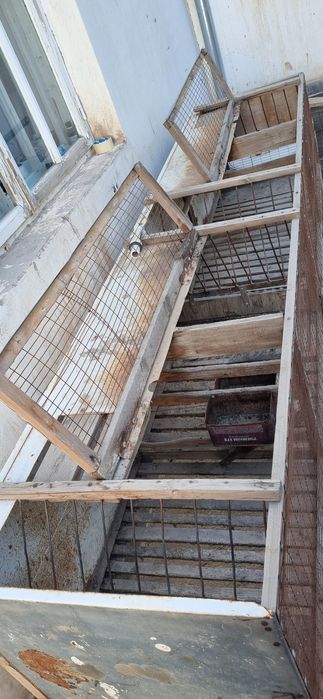 parrandala uchun moʻjallangan