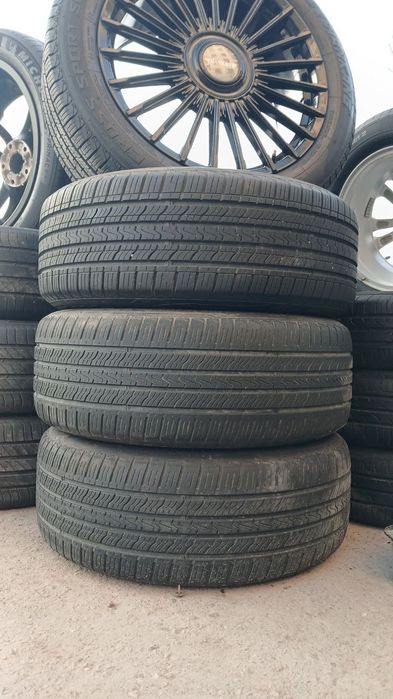 Diska byd chempion sonplus