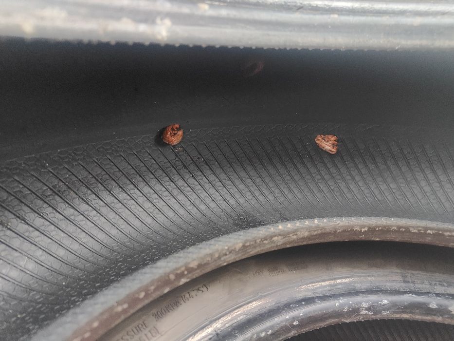 Шины летние 185/65/15