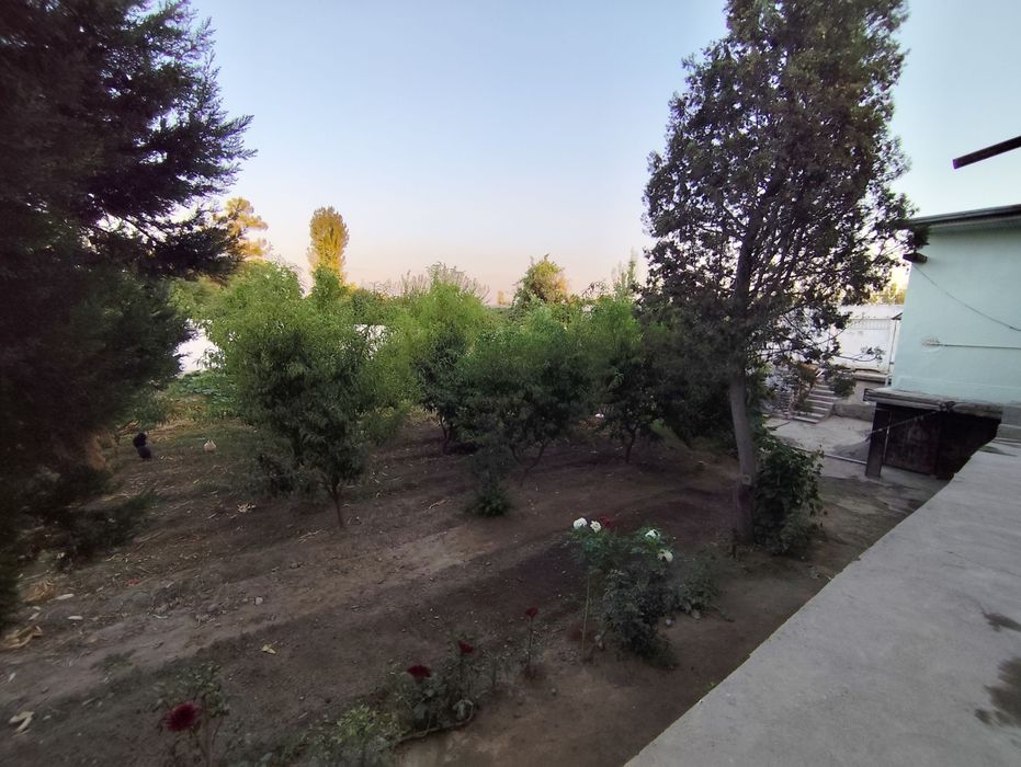 Arzon xovli uy sotiladi