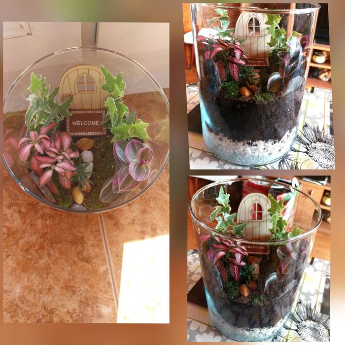 Мини екосистеми - естествени и изкуствени