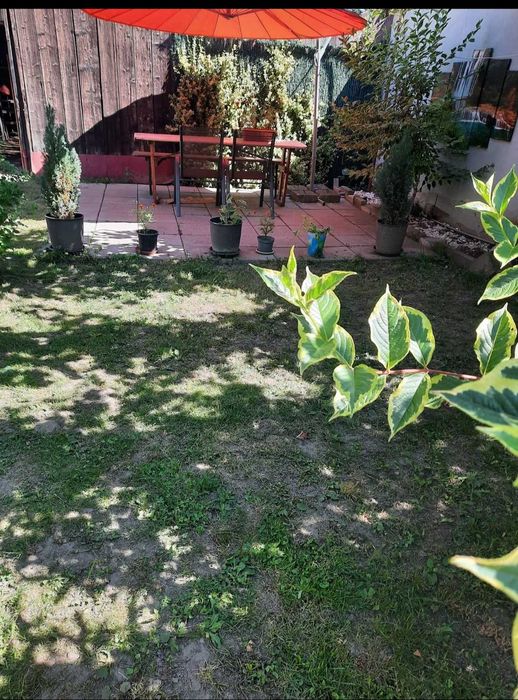 De inchiriat apartament la casa in Selimbar