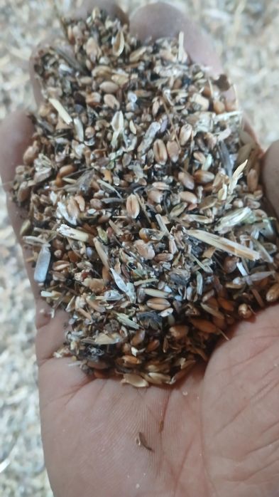 Бидайдың  және лень атходы сатылады