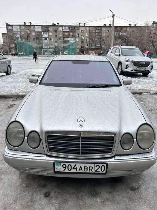 Мерседес лупарик