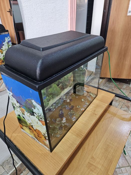 Аквариум новый в
