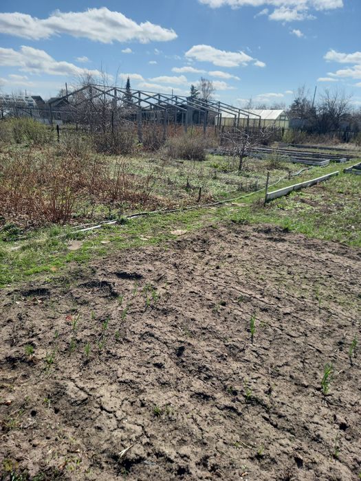 Продам дачу со " Чапаева" 8 соток