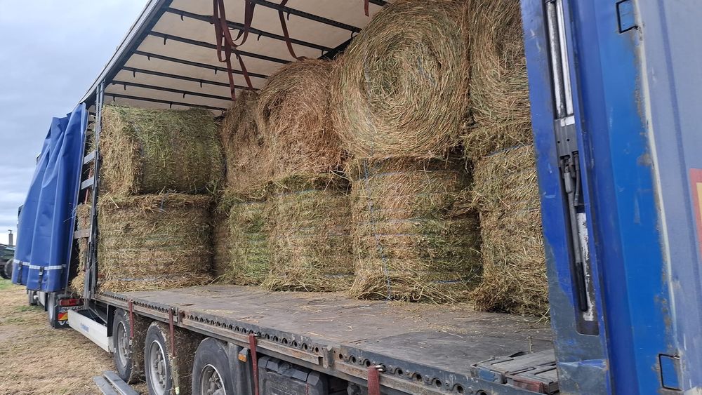 Baloti lucerna sau fan Livram la TIR min 40 rotunzi sau 500 dreptunghiulari Transport inclus RO UE Nu livram la bucata