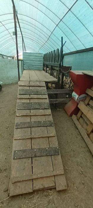 Stand de muls oi/capre