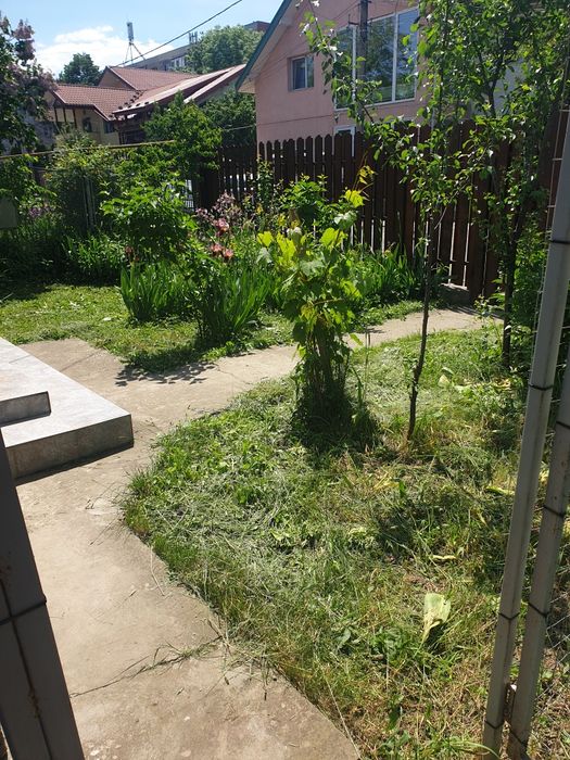 Ofer la închirie casă, curată, mobilată, două dormitoare, bucatarie, hol,