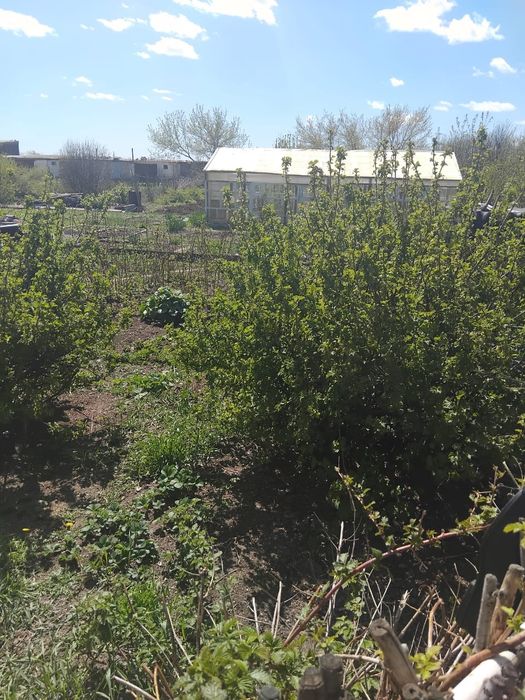 Продам большой дом