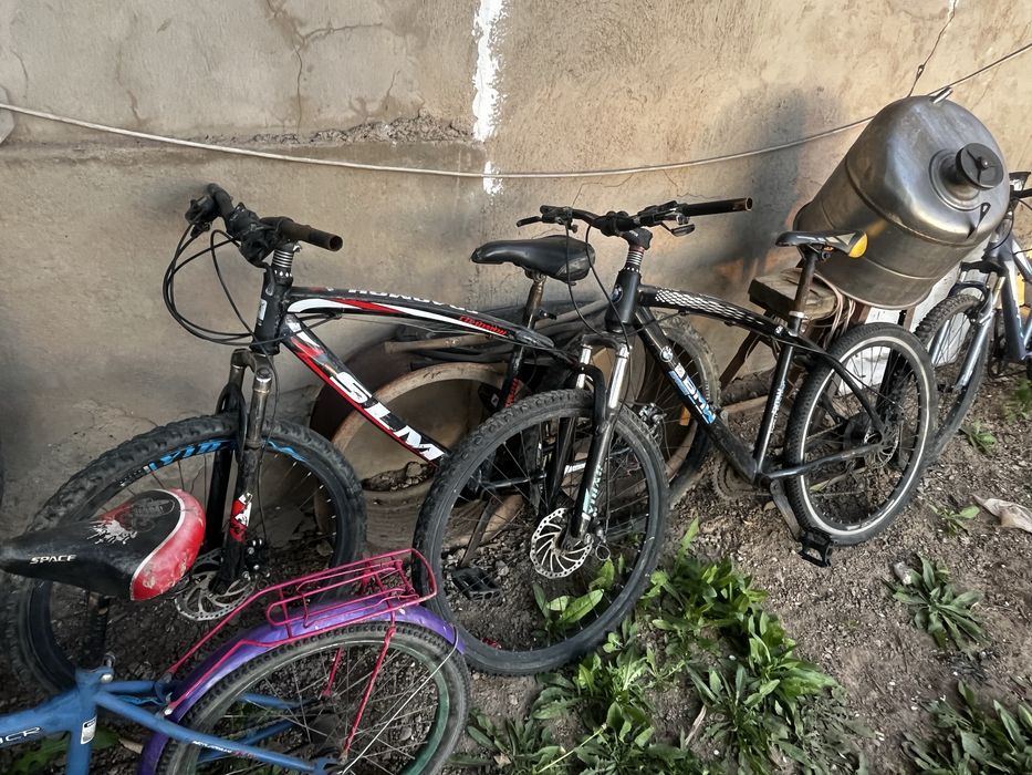 Велик.          .