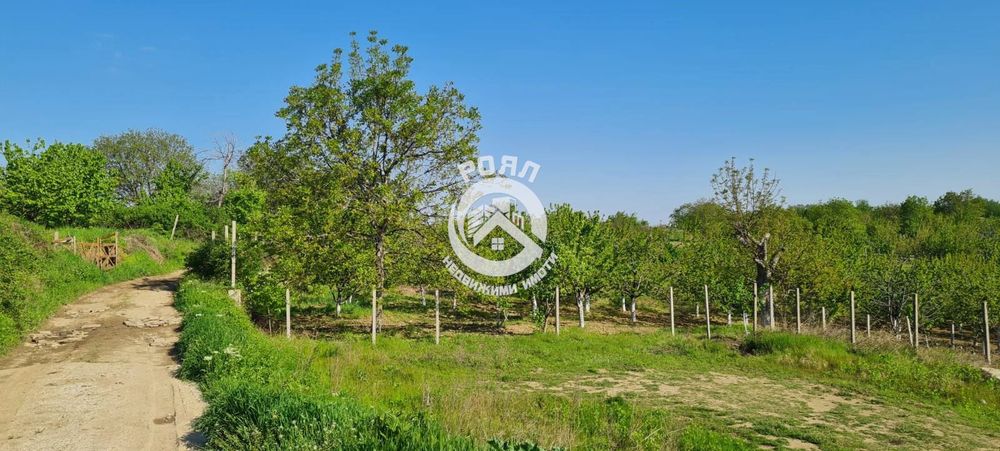 Продава се Парцел в Асеновград - 1600 кв.м за 35 €/кв.м - Снимка #4