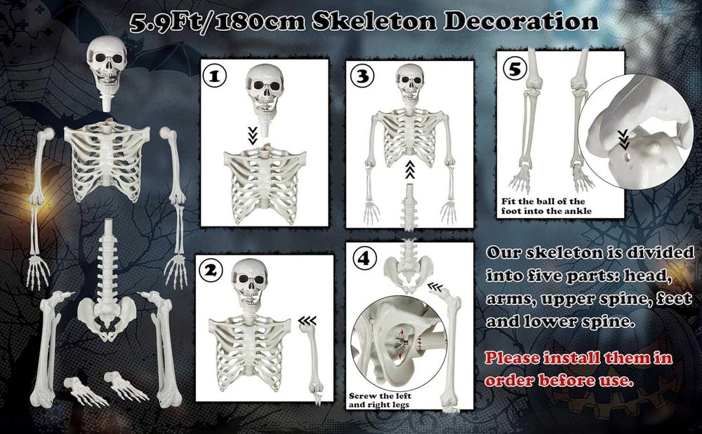 Schelet 180cm Dimensiune Naturala Articulat Decor Petrecere