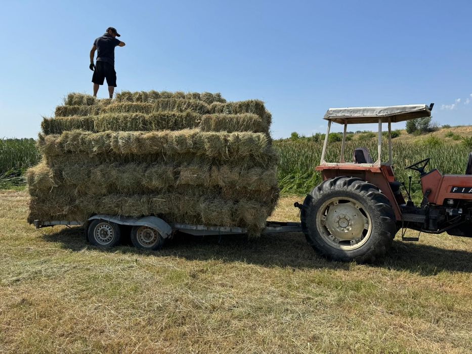 Baloti Rotunzi Lucerna min.40.sau fan.Drept.min.500.Transport>RO UE

B
