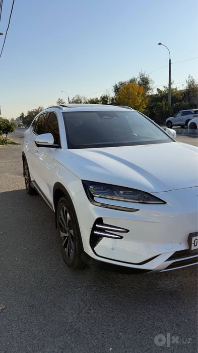 Byd champion 605