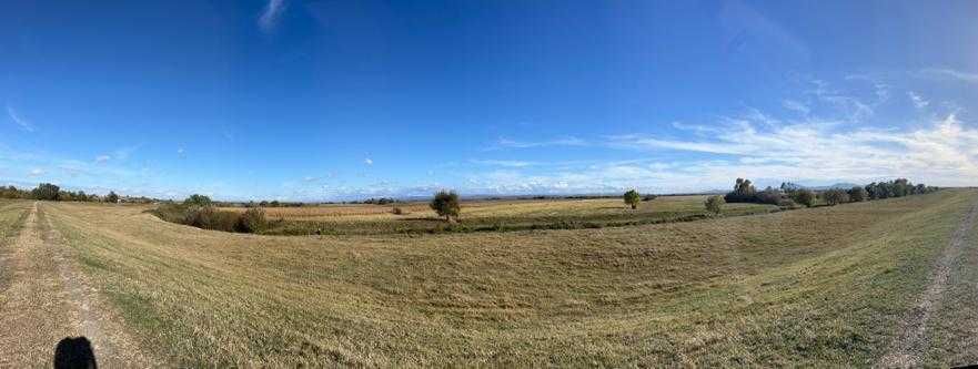 Teren agricol/arabil 23 ha, comasat, extravilan, Butin, Timis