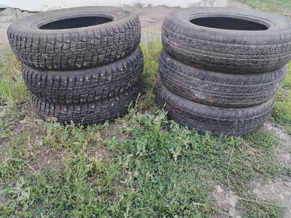 Продам ризину R12