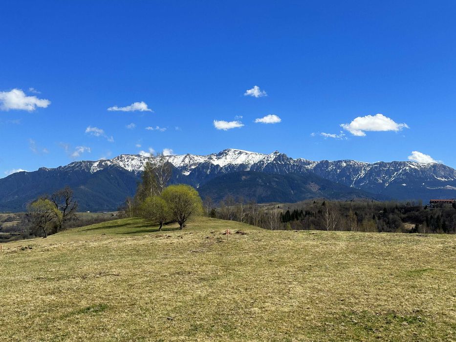 Teren Pestera 1550 mp, aproape de  Bran Moieciu