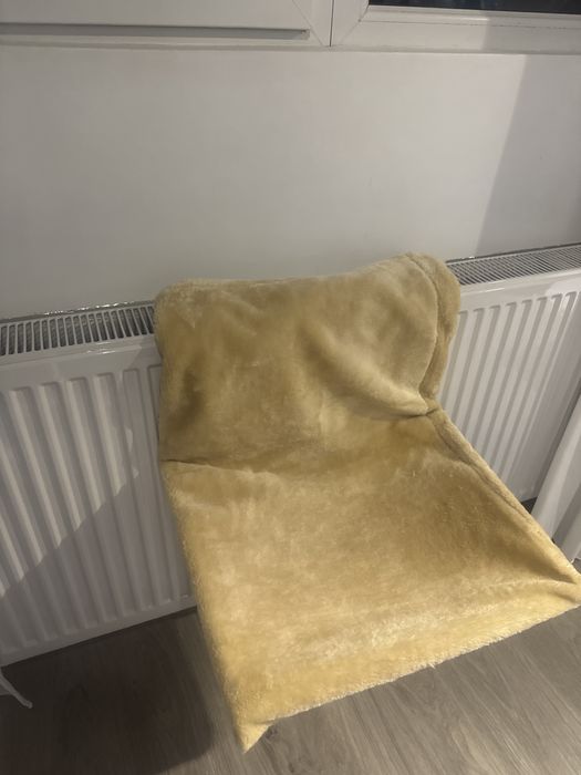 Culcus calorifer pisica