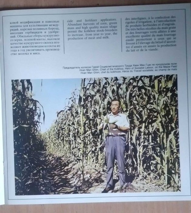 Редкая брошюра СССР 1970-х: «Колхоз Политотдел» — идеальное состояние