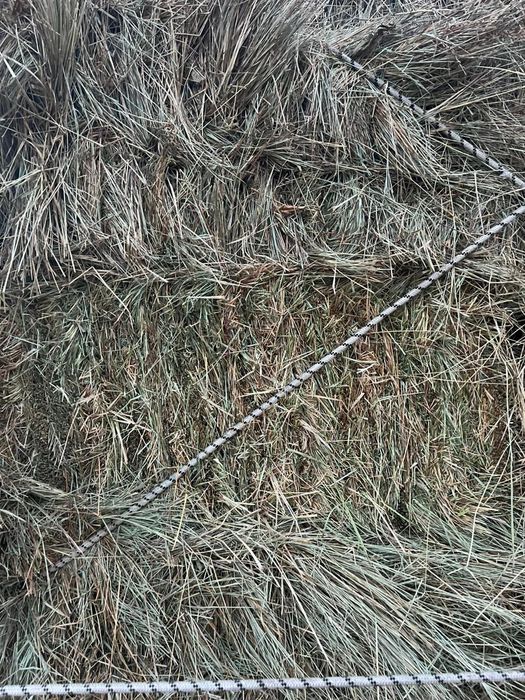 Тюк 550₸ сатылады