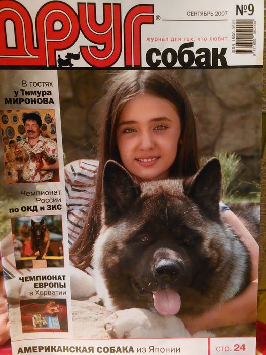 Американская Акита