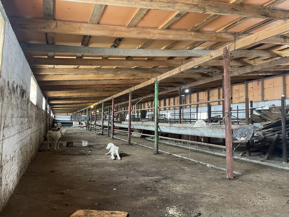 Фазенда, крестянское хозяйство.ТОРГ