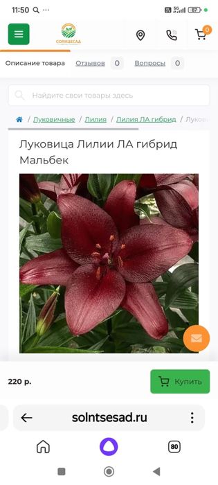 Лилии 10 сортов 1500