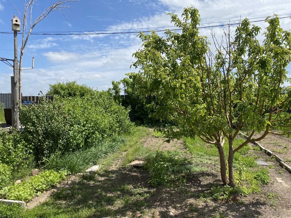 Продается дом в поселке Вольный