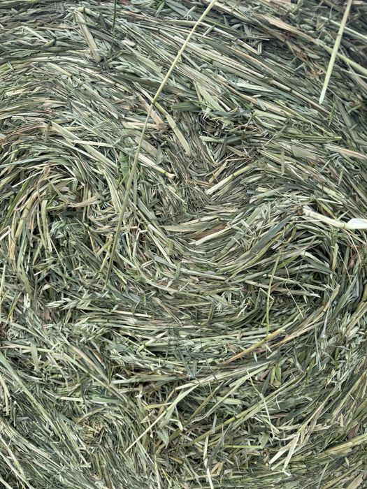 Baloti Lucerna si Lucerna cu Ovăz