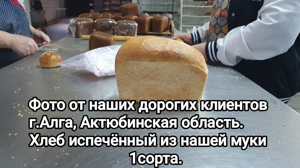 Мука оптом от производителя