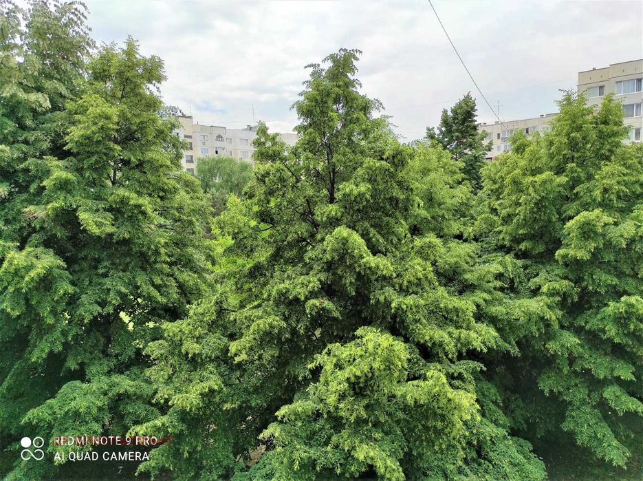 Дава се под наем Тристаен апартамент в София, Обеля 1 - 74 кв.м за 597.21 € - Снимка #16