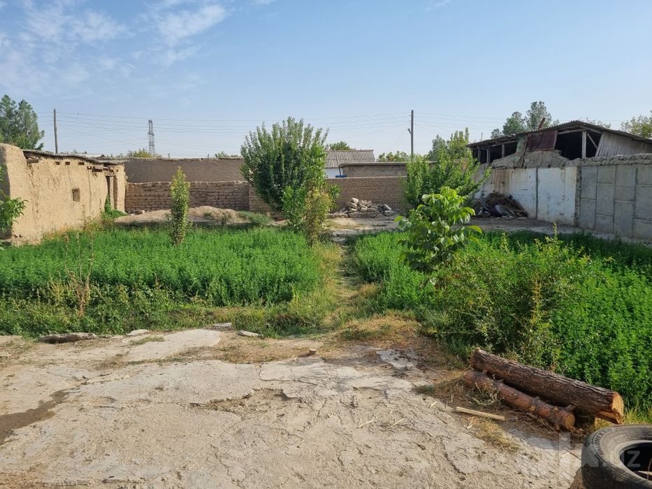 160 milon kumushkondan dacha sotiladi