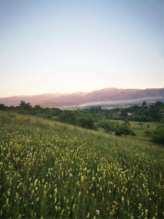 Teren intravilan, doua cabane A-Frame , filigorie, Bradu, jud. Sibiu ...