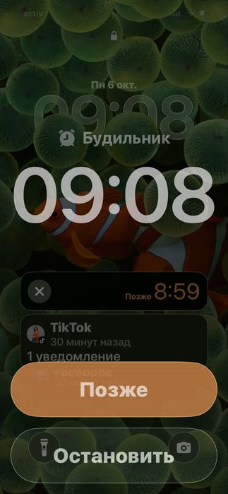 Фермерское хозяйство